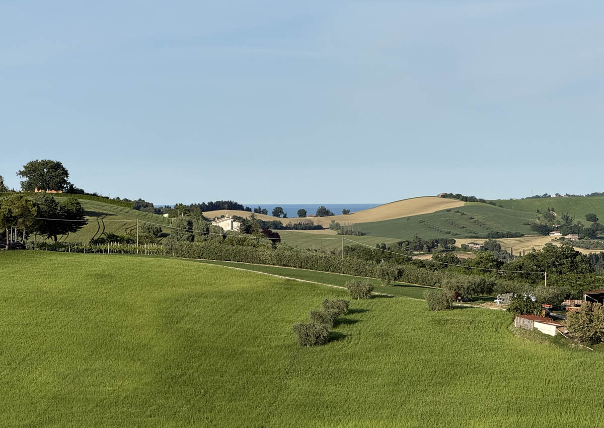 sea view