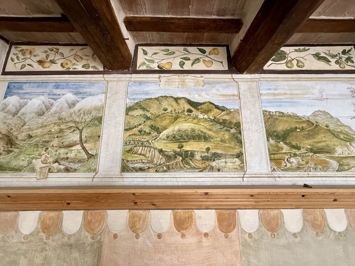 IMG_E3553