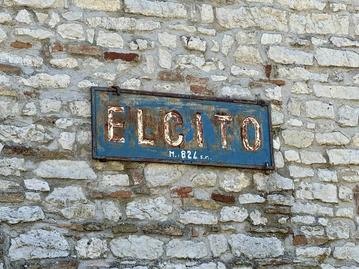 IMG_E5600